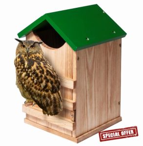 Screech Owl House Owl Box with Bird Stand Design