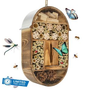 Wood Insect House