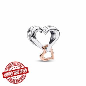 Pandora Moments Two-Tone Sterling Silver and 14k rose-gold plated charms