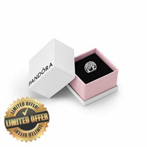 PANDORA Moments Women's Sterling Silver Openwork Family Roots Charm Bracelet Charm