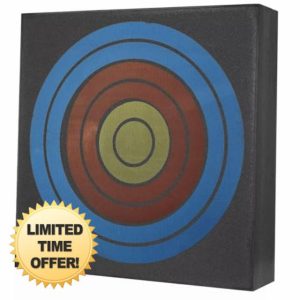 Archery Target Foam Base Bullseye 50x50x10cm Aim Practice Training Crossbow Bow