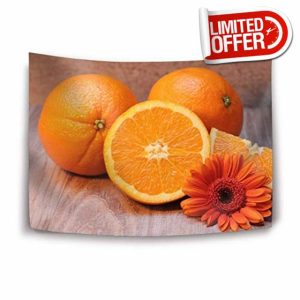 BRIXTON CAT - EXPANDED EDITION