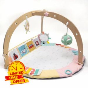 Oh My Baby Play Gym