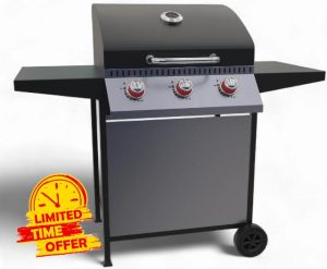 GasOne 3 Burner Gas Grill Stainless Steel– Outdoor Grill Cabinet Style with Wheels - High-Temperature Paint Coating Gas BBQ Grill – Elegant and Luxurious Desig