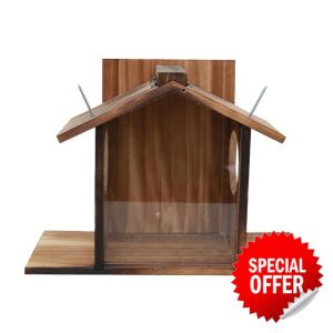 Squirrel Feeding Table