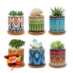 FORAGIFT 7.5CM Succulent Plant Pot