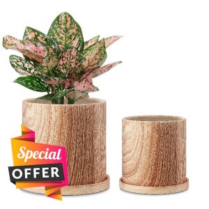 FairyLavie 18+15 CM Plant Pots Indoor