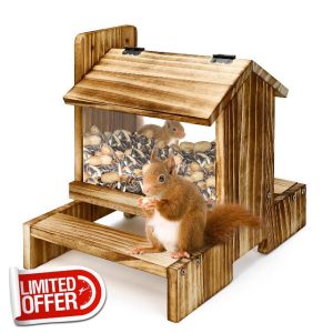 Wooden Squirrel Feeder