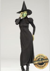 Struts Adult Size Elphaba Style Black Wicked Witch Costume
