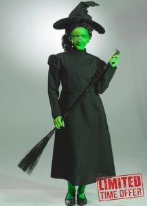 Struts Childrens Elphaba Style Black Wicked Witch Costume