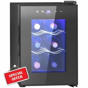 HOMCOM Mini Freestanding Wine Fridge