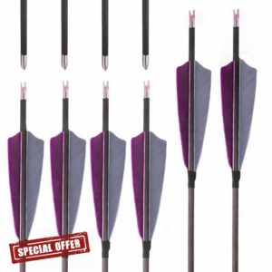 PHILOCS 12 pcs ID 4.2mm Pure-carbon Arrow Spine 300 400 500 600 700 800 900 1000 Hunting Arrow