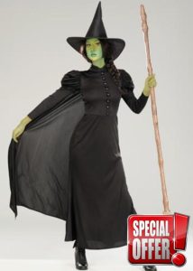 Struts Adult Womens Elphaba Style Wicked Witch Costume