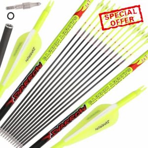 limaity 32" Hunting Arrow Hunting Pure Carbon Practice Arrows Spine 300/350/400/500/600 with Removable Tips for Recurve &Compound & Long Bow
