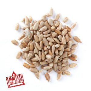 Sunflower Hearts Wild Bird Food Husk-Free High Energy Birds Seed No Mess Birdseeds for Year Round Feeding (25kg)