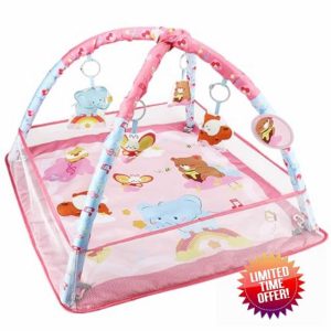 Baby Gym Play Mat