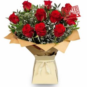 Just Roses - Red Bouquet - Valentines Day Pre Order - Beautiful Fresh Flowers