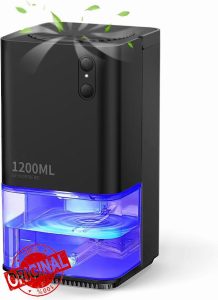 Dehumidifiers for Home Damp