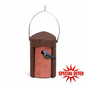 Bird Boxes for Gardens UK - Jacobi Jayne Schwegler 1B Nest Box 26mm Entry Hole - Bird House Nest Box for Wild and Garden Birds - Wildife Bird Box - Long Lasting Bird Nest Box