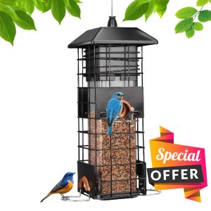 Squirrel Proof Bird Feeder