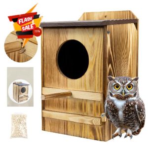 Owl House for Outdoor