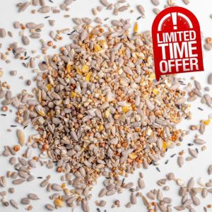 Kennedy Wild Superior High Energy Bird Seed for Small Garden & Farmland Birds (13kg) Birdseed for Wild Birds Ideal as Winter Bird Feed for Robins & Other Small Garden Birds.