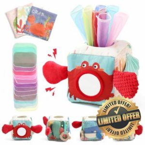 Baby Sensory Tissue Box Toy