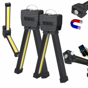 Gym Lamp for Posing