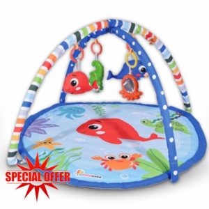Baby Play Mat with Activity Gym