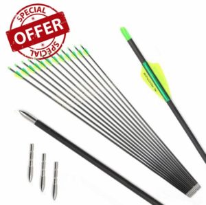 PHILOCS 12 pcs Hunting Carbon Arrows ID 4.2 mm Spine 300 400 500 600 700 800 900 1000 Practice Arrow for Archery Recurve Bows Compound Bow