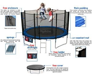 Including FREE Ladder