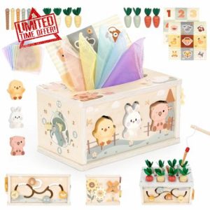 Vanplay Montessori Toys for 1 Year Old