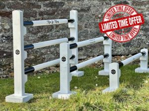 Skyes Jumps Hobby horse jump set - wedding activity