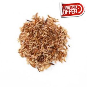 Wiggly Wigglers Live Mini Mealworms For Birds - 13 to 18mm Live Food for Reptiles & Garden Birds | Wild Bird Feeding Young Mini Meal Worms (250g)