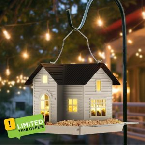 MrCrafts Nature Solar Bird Feeder for Outside