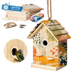 DIY Wood Bird House Kits with Paint for Adults and Kids