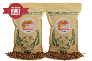 Chubby Mealworms EU Grown Refill Bag (2Kg)
