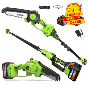 2-in-1 Cordless Pole Saw 8 Inch&Mini Chainsaw