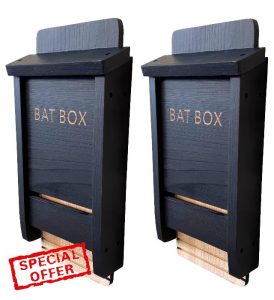 Black Wooden Bat Nesting Roosting Box (Pack of 2)