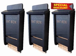 Black Wooden Bat Nesting Roosting Box (Pack of 3)