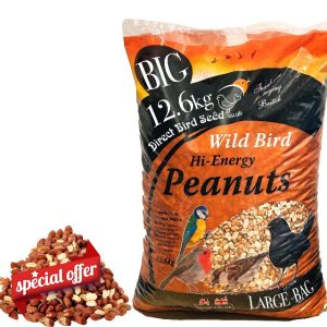 Peanuts for Wild Birds Large 12.6kg Bag - Premium High Energy Large Bag Wild Bird Food - Protein Rich Nuts