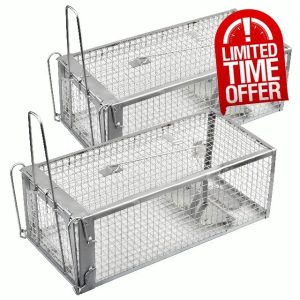 Anyhall 2-Pack Rat Traps Humane Live Mouse Cage Traps (Silver)
