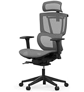 FLEXISPOT BS8 Ergonomic Office Chair, Mesh Desk Chair with 9 Level Adjustable Backrest, Lift Armr...