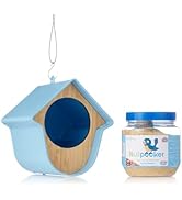 Grumpy Gardener Steel Snowflake Bird Feeder with Nutpecker Peanut Butter Bird Food - Set of 2 Han...