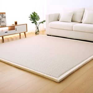 2CM Thick Rugs Living Room