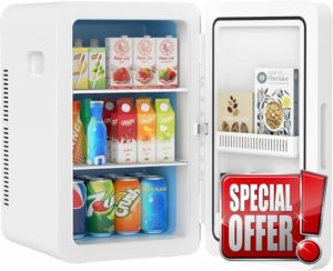 Rebongki Mini Fridge 22L/ 30 Cans Cooler and Warmer Portable Mini Fridge for Bedrooms with Adjustable Shelves