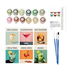 6pack Paint by Numbers for Adults