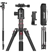 NEEWER Field Monitor Mount Holder with Cold Shoe 360° Swivel 180° Tilt Anti Twist Screw Compatibl...