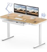 FLEXISPOT ONE PIECE Electric Standing Desk Height Adjustable Standing Desk Sit Stand Desk Adjusta...
