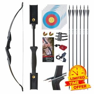 D&Q Ambidextrous Recurve Bow and Arrow 20Lbs Archery Set for Adult Junior Beginner Teenager Youth Outdoor Training Target Practice Takedown Bow Kit with Arrows Left Right Handed